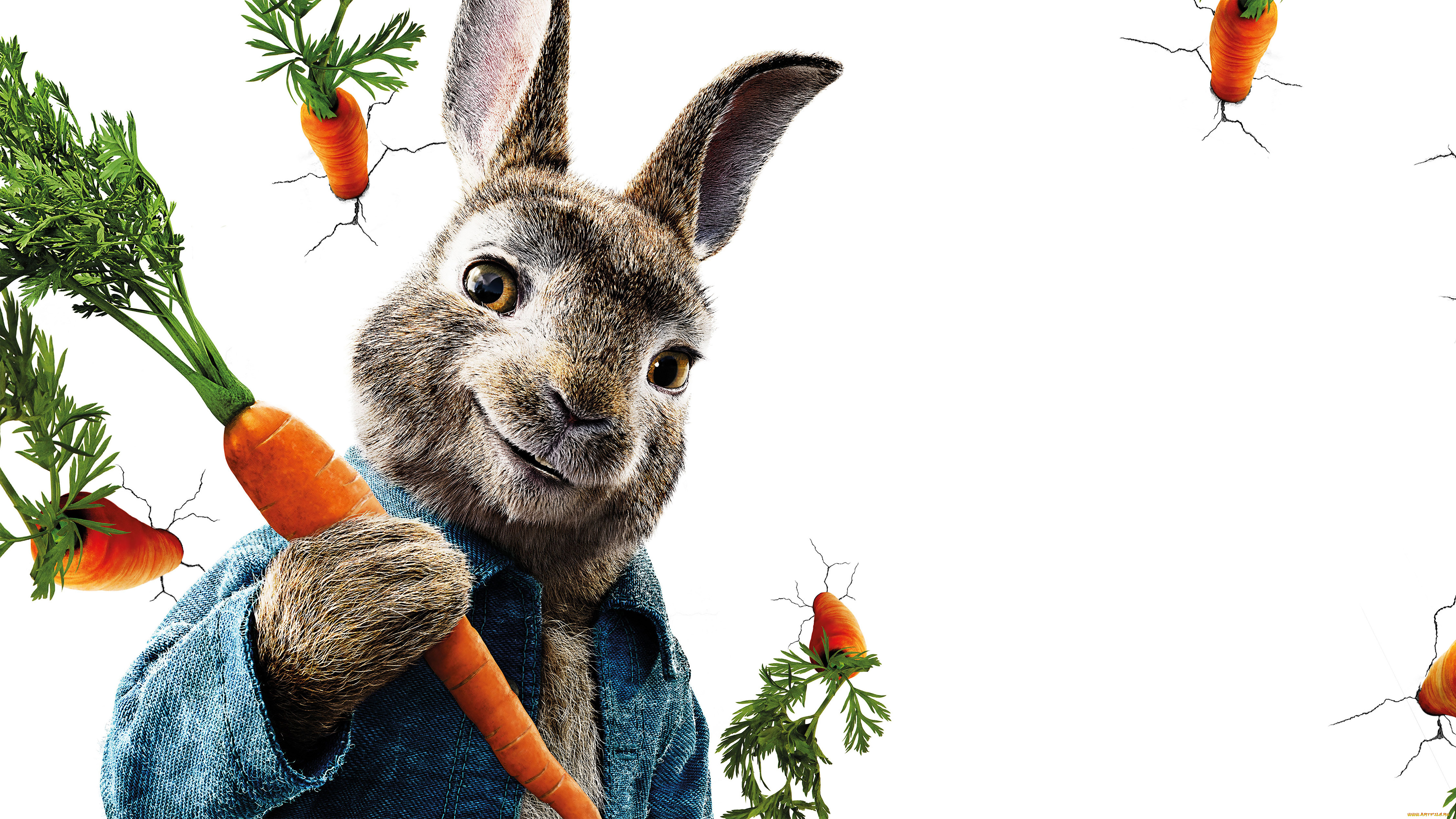  , peter rabbit, peter, rabbit